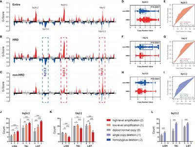 Inferring Homologous Recombination Deficiency of Ovarian Cancer From the Landscape of Copy Number Variation at Subchromosomal and Genetic Resolutions